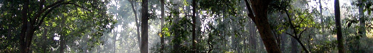 Jim Corbett Jungle Safari Package