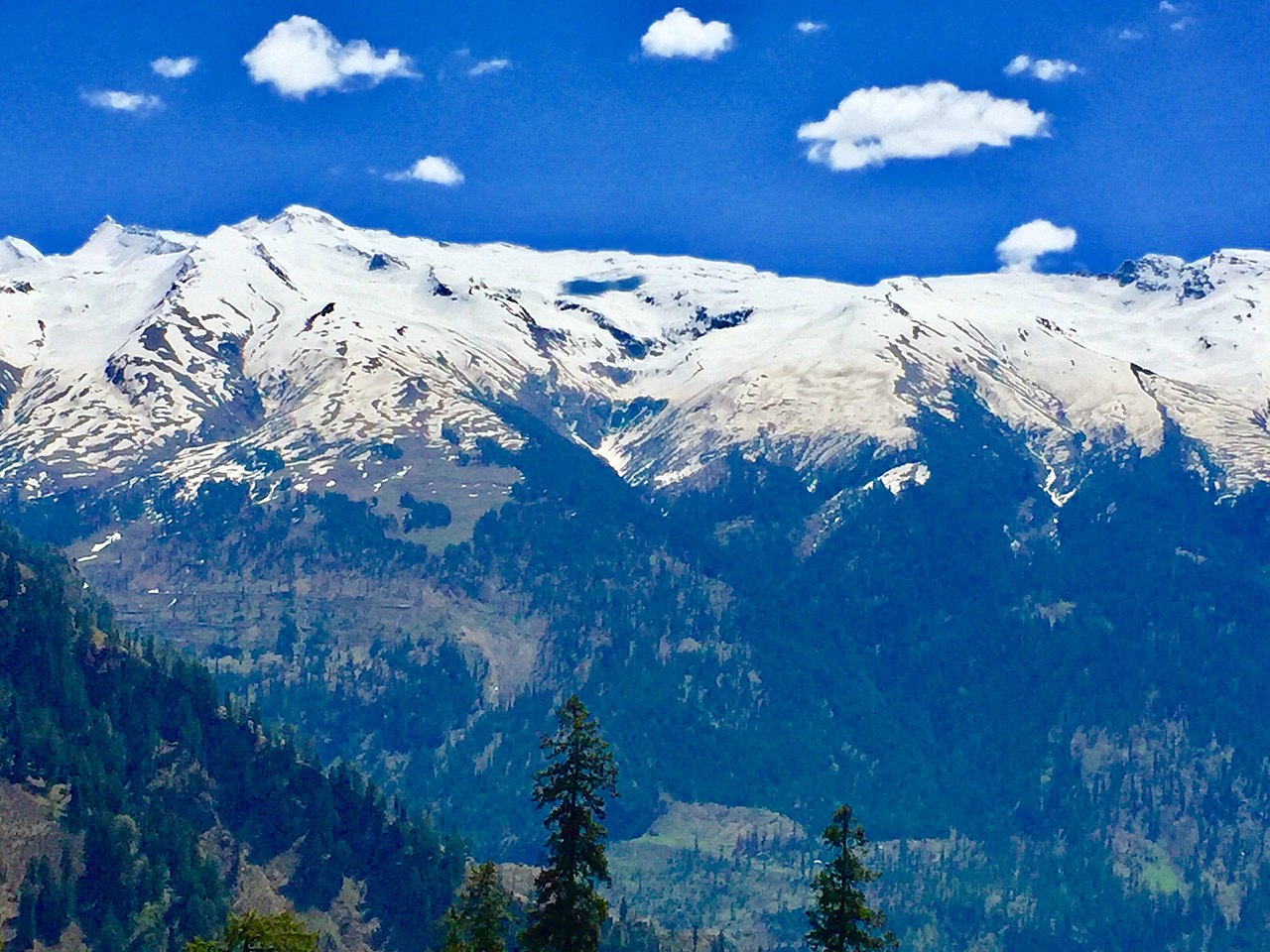 Manali Family Holiday
