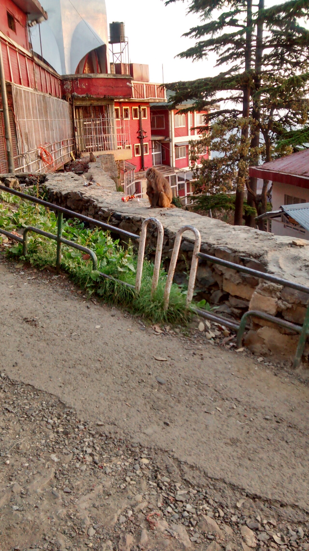 Shimla Manali Tour Package